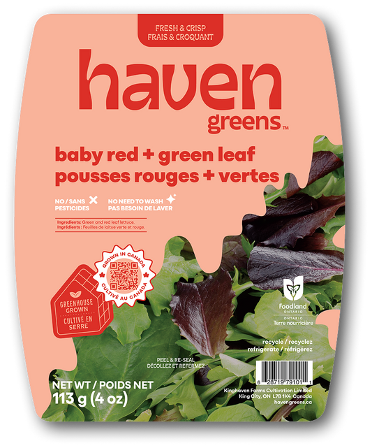 Haven Greens - Baby Red + Green Leaf Lettuce